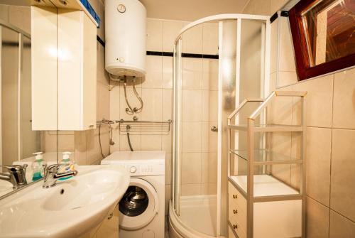 a bathroom with a sink and a washing machine at Holiday Home Nina Petrinja in Petrinja
