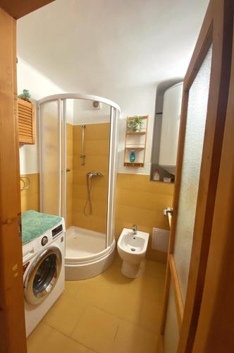 y baño con ducha, aseo y lavadora. en Apartmán v Trutnově, en Trutnov