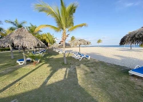 a beach with chairs and palm trees and the ocean at Beach Apartment At Nikki Residences 2 Bedroom in El Chirú