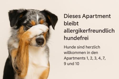a close up of a dog with its head at Distillery Apartments in Lüneburg