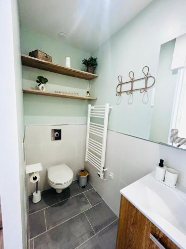 a bathroom with a toilet and a sink at Petite maison sur la colline 