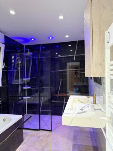 a bathroom with a shower and a sink and a tub at L'échapée belle in Beinheim