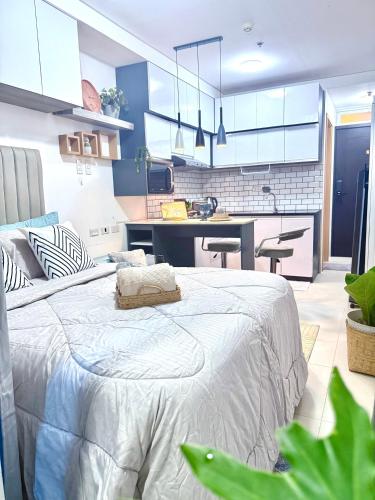 Kuchyň nebo kuchyňský kout v ubytování Casa Aurea