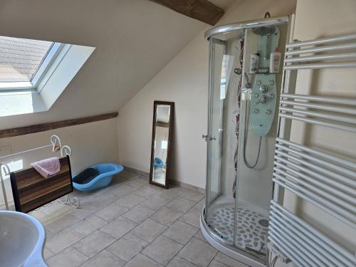 a bathroom with a shower and a sink at Berrichonne house near Beauval Zoo in Jeu-Maloches