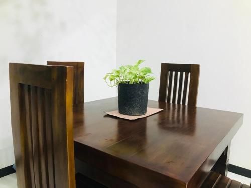 a wooden table with a potted plant on top of it at Ops Poinix Hotel in Weerawila