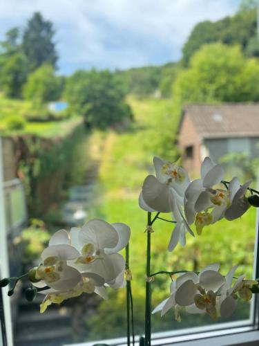 a group of white flowers sitting on a window sill at Mahesars Home 2 in Ennepetal