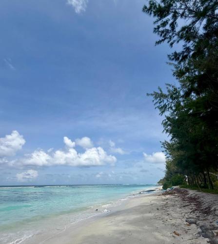 a sandy beach with trees and the ocean at Lux Stay in Hulhumale