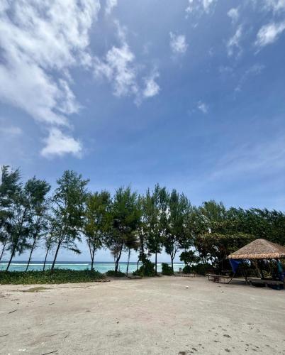 a beach with trees and the ocean in the background at Lux Stay in Hulhumale