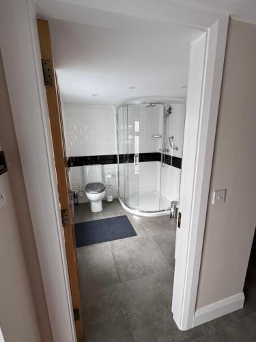 Un baño con ducha y WC. en Charlie Óg's Bridge House, en Dungloe