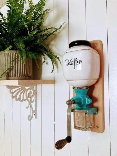 a toilet hanging on a wall with a plant at Cozy Tiny House in the forest with spacious private garden in Zuidwolde