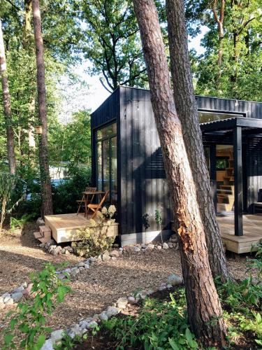 a black cabin in the woods with a tree at Cozy Tiny House in the forest with spacious private garden in Zuidwolde