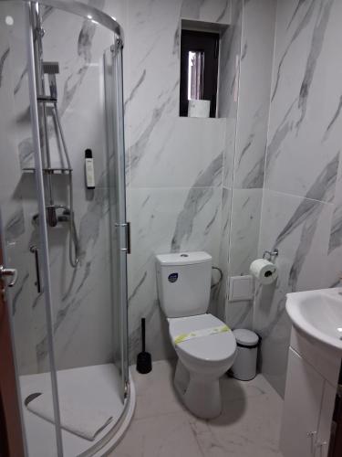 a bathroom with a shower and a toilet and a sink at Monterai Resort in Poiana Brasov