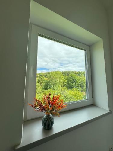 a vase sitting on a window sill with a plant at Waldzauber - Moderne Ferienwohnung im Grünen in Elpenrod