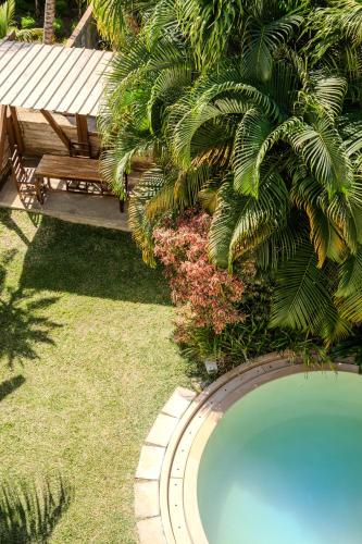 a swimming pool in a yard with a palm tree at EvaZion River Side in Grande Rivière Sud Est