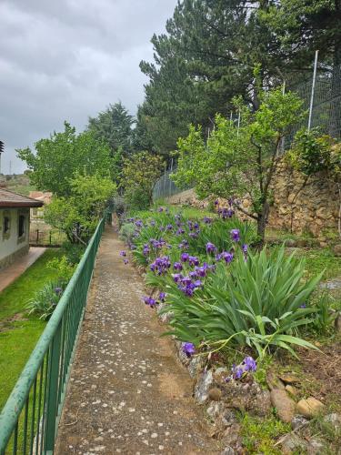 Taman di luar Casa Las Bailas