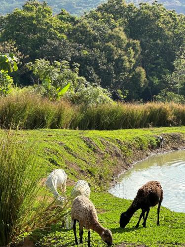 Landskap semula jadi dekat dengan hotel