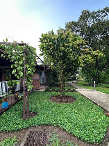 Taman di luar Villa Encanto Ecolodge