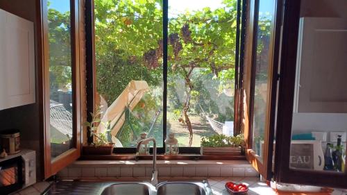 a kitchen window with a view of a tree at Podere MiaMa in Ripalta