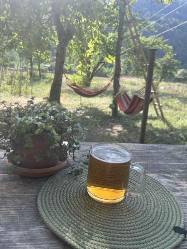 Bebidas en Guest House Tobuldar