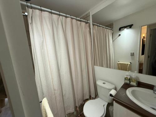 a white bathroom with a toilet and a sink at Departamento familiar en Pucón in Pucón