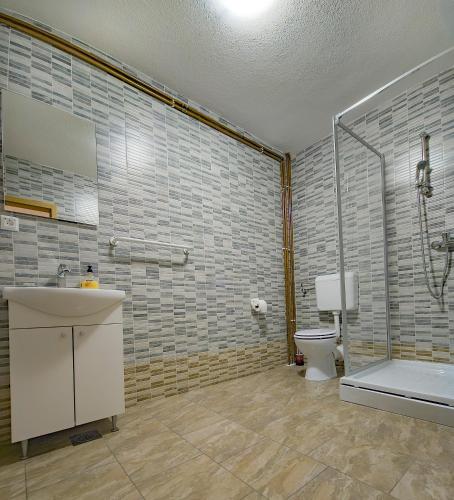 a bathroom with a toilet and a sink and a shower at House Šapina in Korenica