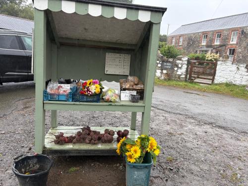 a green stand with flowers and teddy bears on it at 46 Gower Holiday Village in Swansea