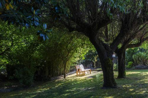 a bench sitting under a tree in a park at Casa da Câmara in Tondela