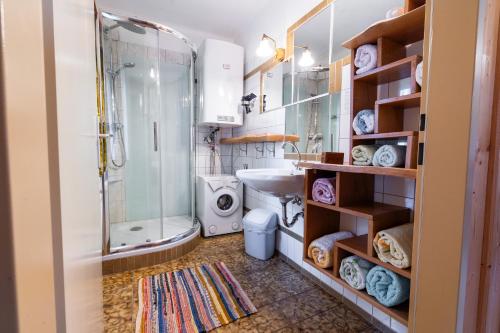 a bathroom with a shower and a sink and a toilet at Ferienwohnung am Abbrandtnergut 