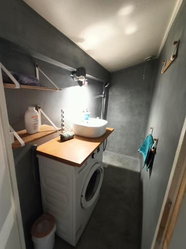 a bathroom with a sink and a washing machine at 'La forêt enchantée' in Villeurbanne
