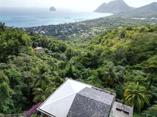 a view of the jungle and the ocean at Villa Clémentine in Le Diamant