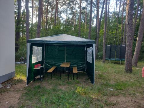 a tent with chairs and tables in a forest at Positive energy 2 in Sulejów