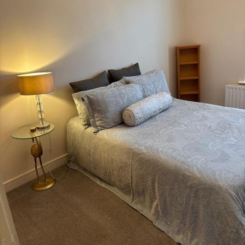 a bedroom with a bed with a lamp on it at Spacious Two Bed near Airport in Celbridge