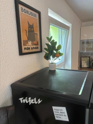 Kemudahan pingpong di Pfalzliebe atau berdekatan
