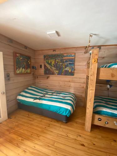 two bunk beds in a room with wooden walls at Sirena Insolente Hostel & Suites in Pichilemu