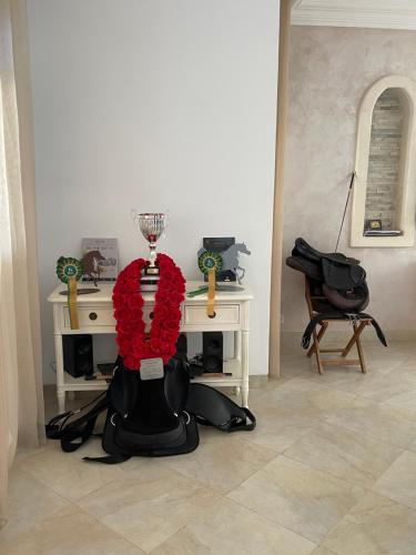 a sculpture of a mannequin with red flowers on it at La Villa Bleue Djerba Houmt Souk in Houmt Souk