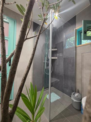 a shower with a glass door in a bathroom at Api Aframe in Avrig