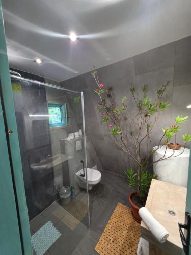 a bathroom with a shower with a toilet and a sink at Api Aframe in Avrig