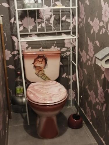 a bathroom with a toilet with a smashed seat at Maison d'hôte avec jardin in Le Mans