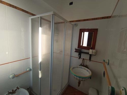 a bathroom with a shower and a sink at La Fonte B&B in Baranello
