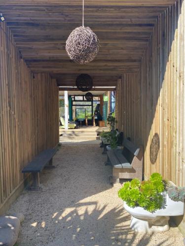 a hallway with benches and a chandelier in a building at Sirena Insolente Hostel & Suites in Pichilemu