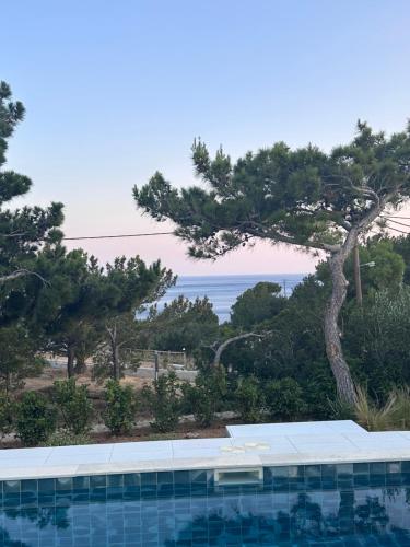 Φυσικό τοπίο κοντά σε αυτό το διαμέρισμα