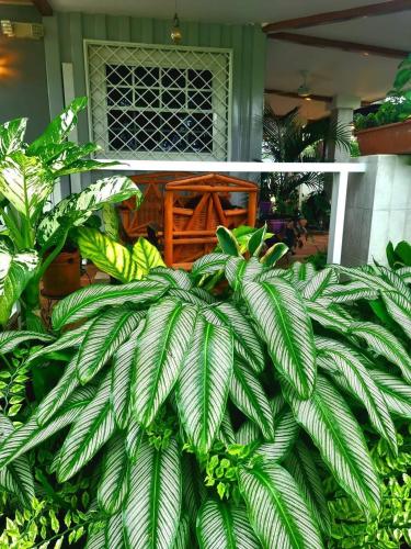 Taman di luar Villa Encanto Ecolodge