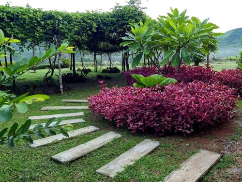 Taman di luar Villa Encanto Ecolodge
