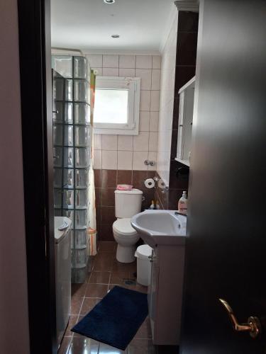 a bathroom with a sink and a toilet and a window at La Rosa in Paliouriá