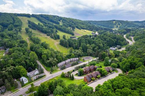 an aerial view of a house in the middle of a forest at 3 Bedroom Townhouse Across from HoliMont in Ellicottville