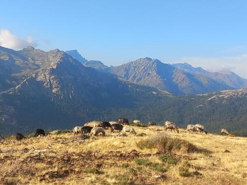 Φυσικό τοπίο κοντά σε αυτό το δωμάτιο σε οικογενειακή κατοικία