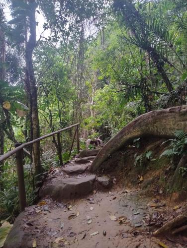 a trail in the jungle with a wooden bridge at hostel Boa Onda Trindade in Paraty