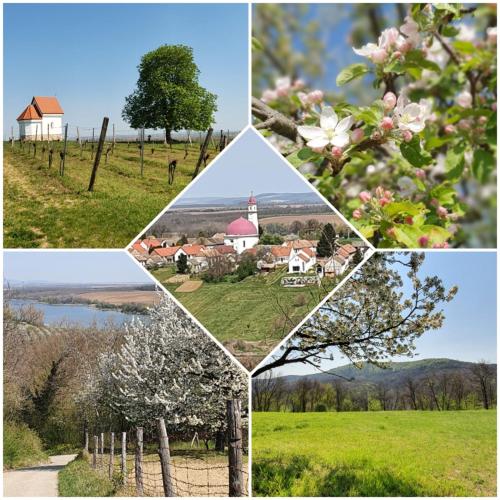 Gambar di galeri bagi CitrusLiget Vendégház di Palkonya