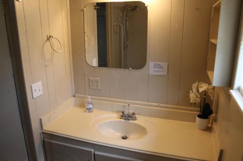 a bathroom with a sink and a mirror at Countryside Bliss - Entire Home on 2 Acres in Rosharon