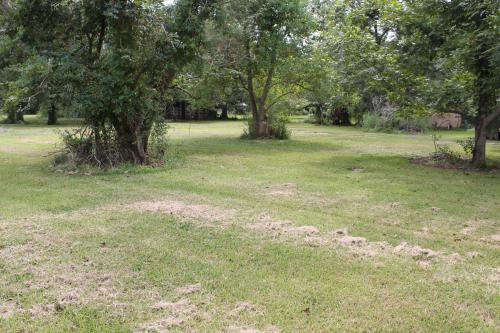 a field of grass with trees in the background at Countryside Bliss - Entire Home on 2 Acres in Rosharon